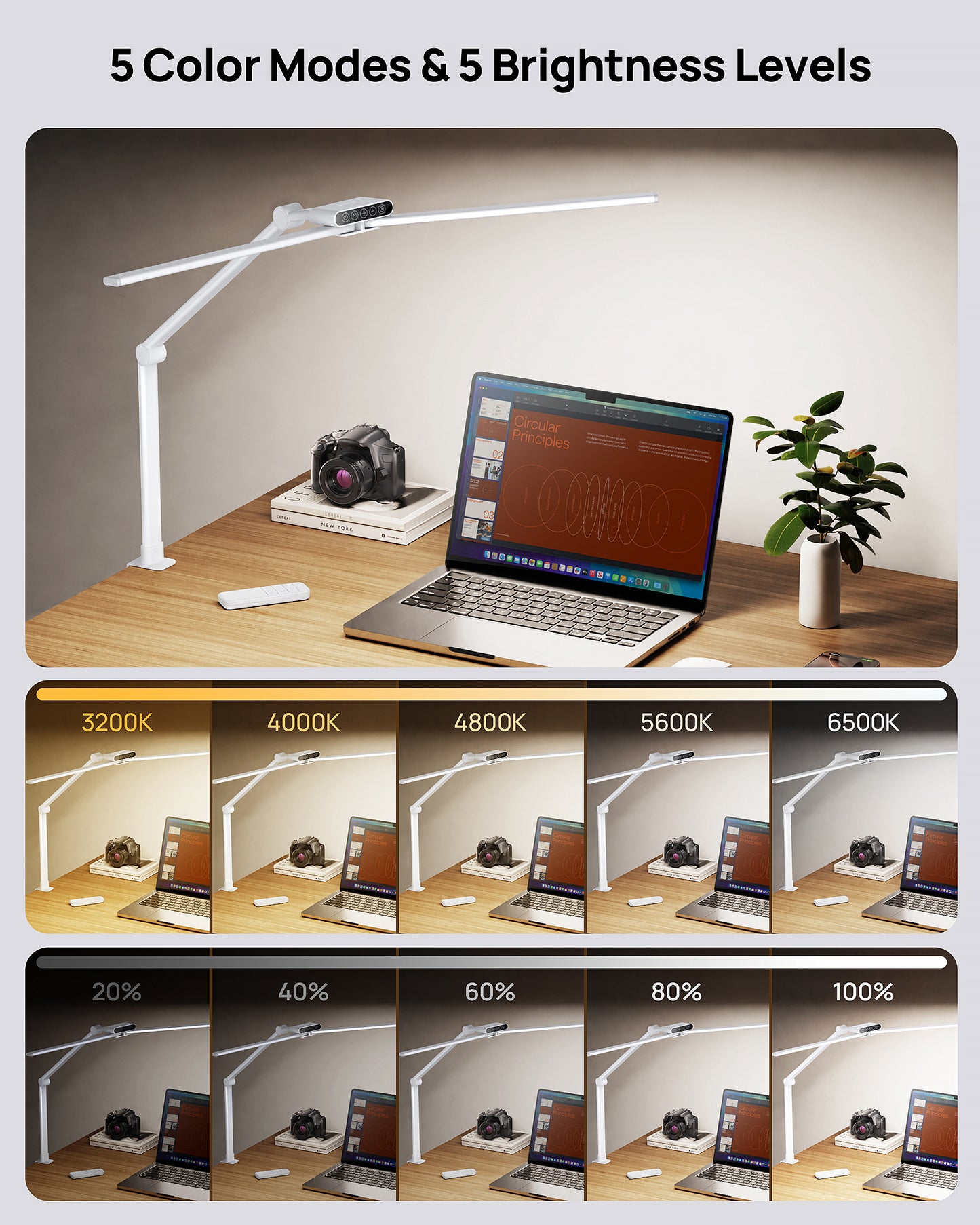 LED Desk Lamp with Clamp
