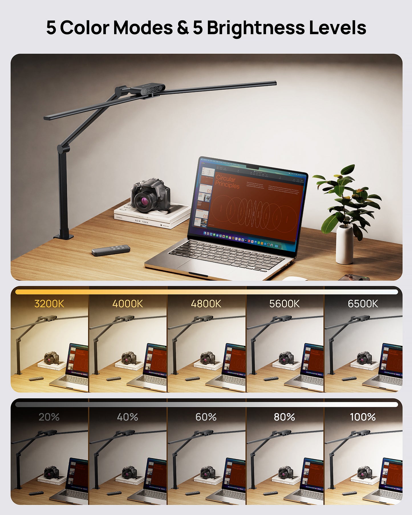 LED Desk Lamp with Clamp