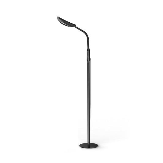 LED Floor Lamp 5 Lighting Modes